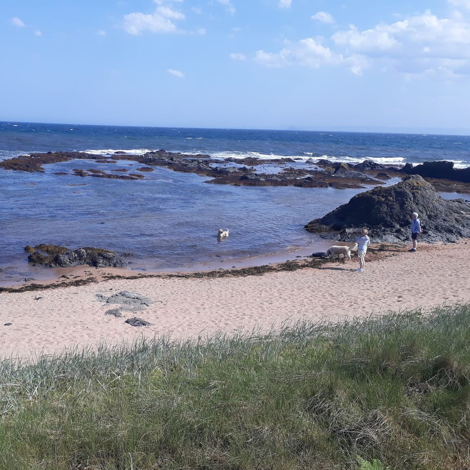 one of the many beaches dotted along the coastal path