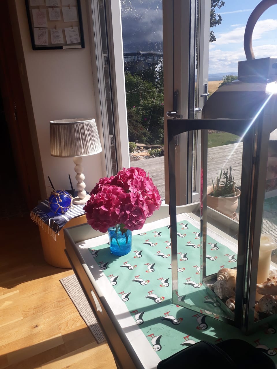 flowers from the garden 💕