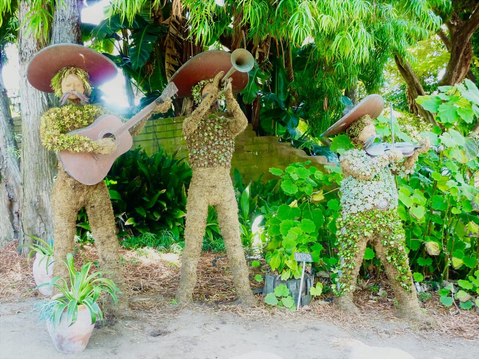 Imagine the Succulent Mariachi Band playing during your romantic dinner! 