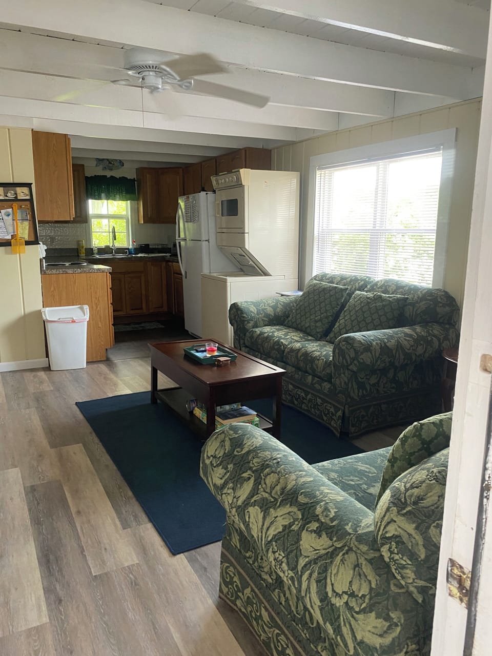 Living room and kitchen