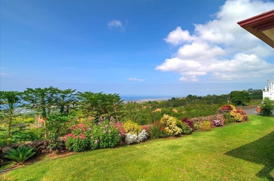 Expansive view over garden, papaya trees, and path to the hot tub, pool and gym.