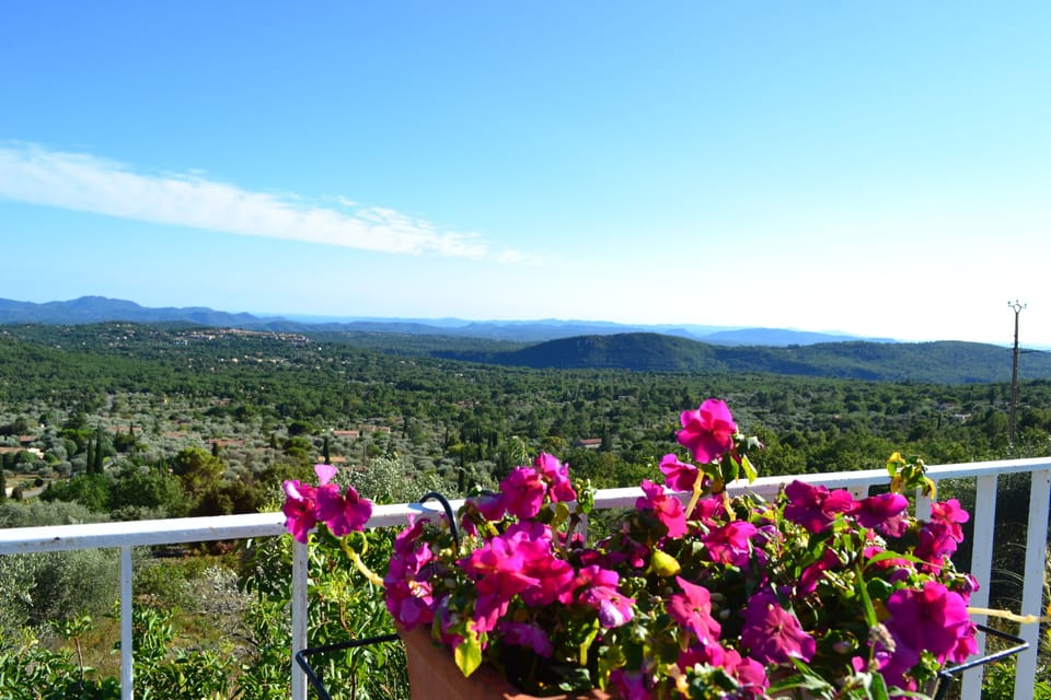 view from pool
