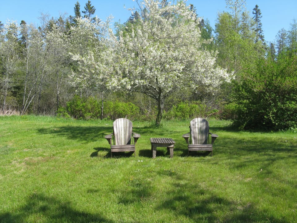 Comfortable seating outside