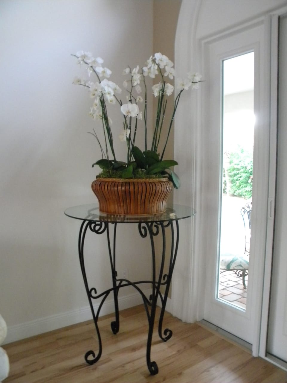 Corner for beautiful orchids