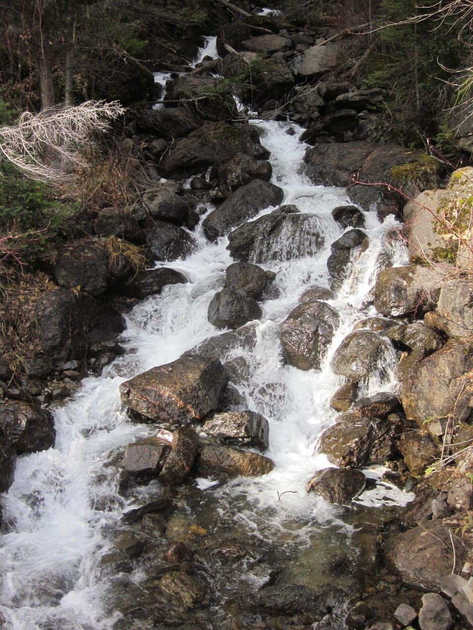 Essex Creek Falls 
Essex