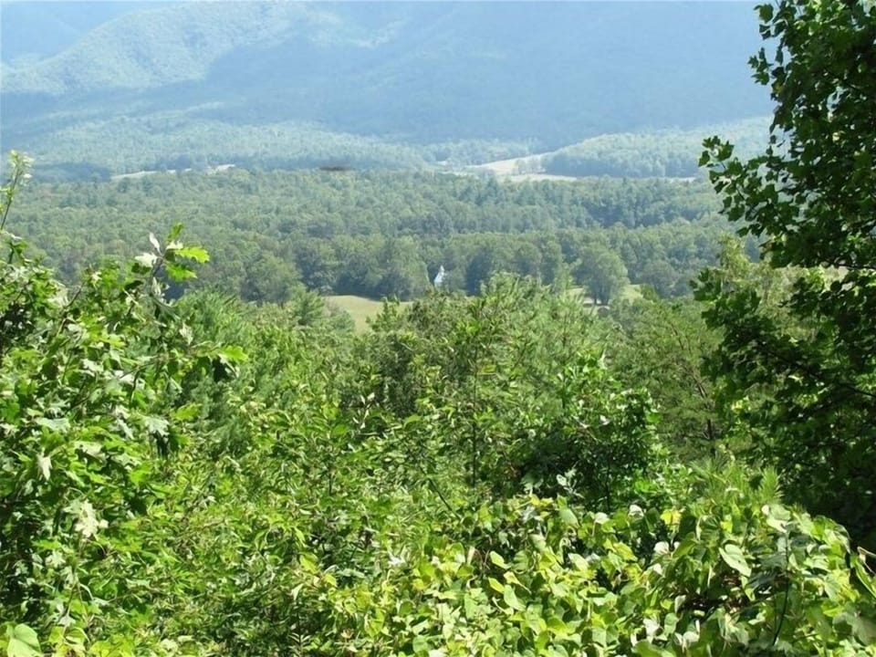 Cades Cove view- Smoky Mountain National Park