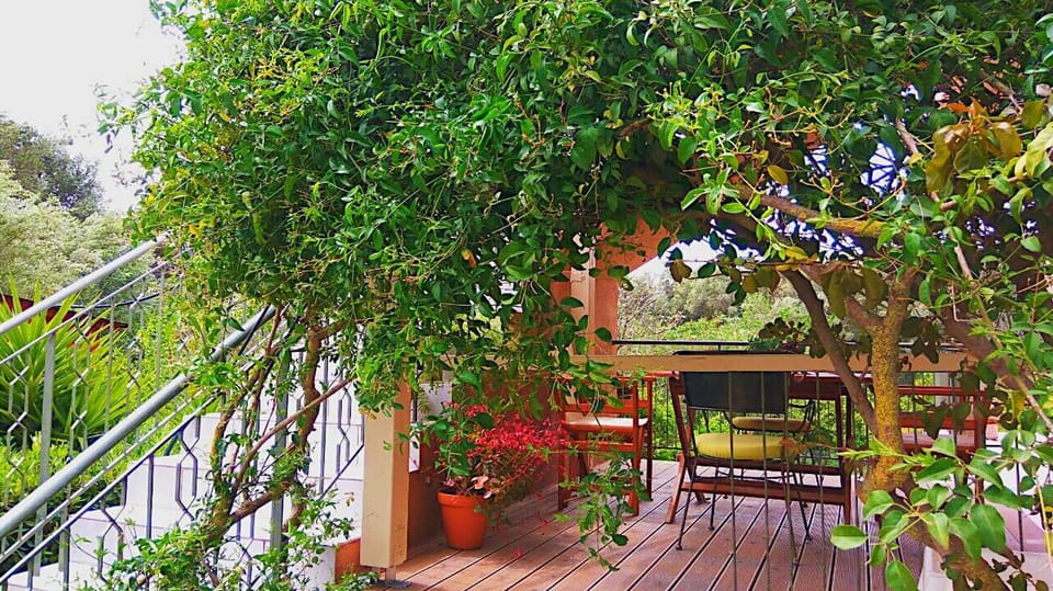 The ground fl. apartments offer a lovely veranda. Kefalonia apartments