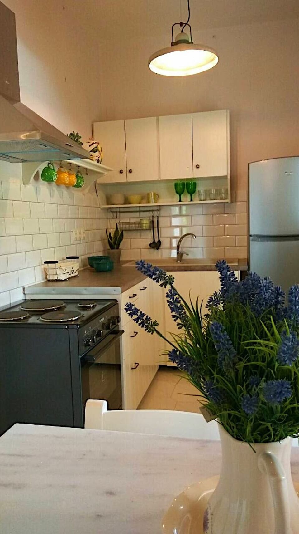 Spartia Kefalonia apartments: kitchenette