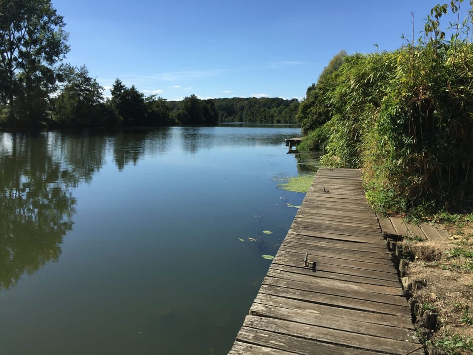 Jetty - looking downstream