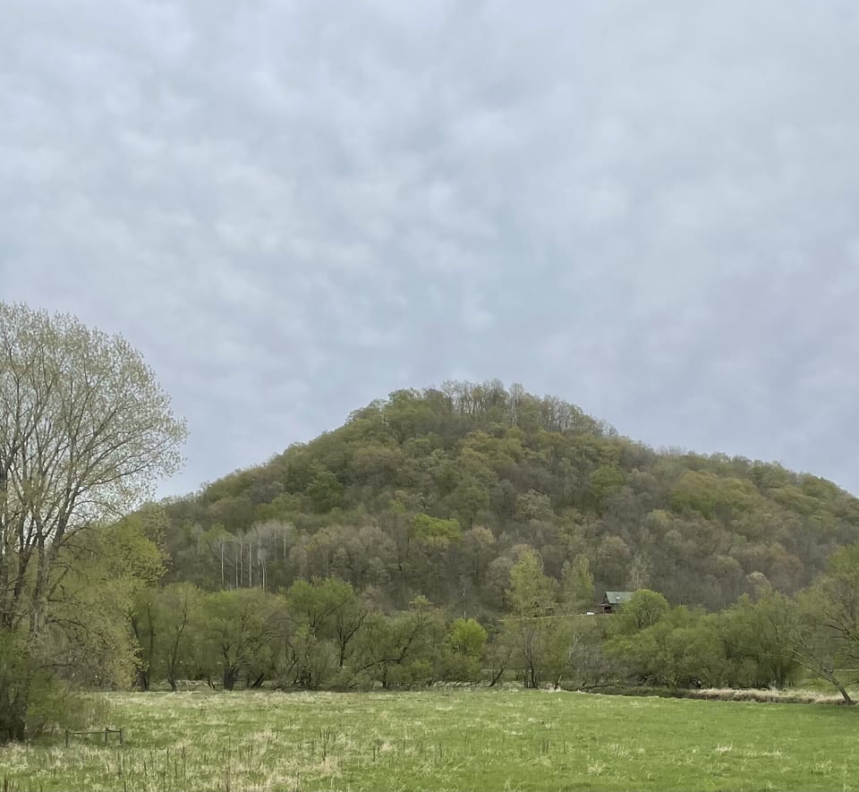 View of Property from other side of river