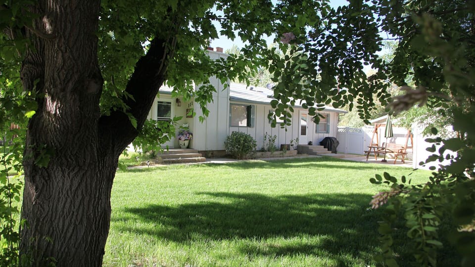 Sit under  a tree and enjoy  your stay.