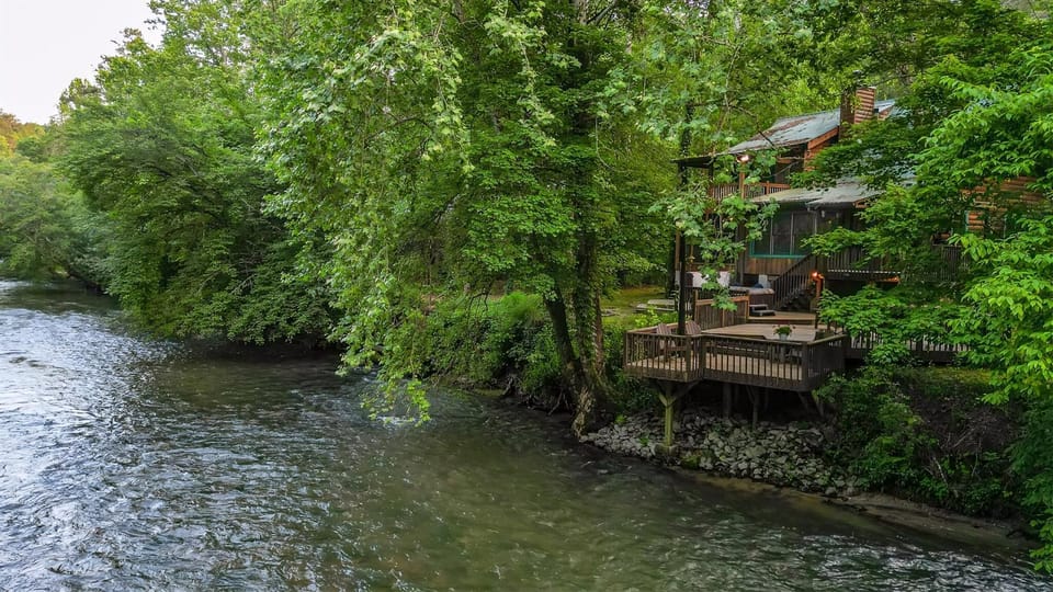 Lofty Pines On The Cartecay 