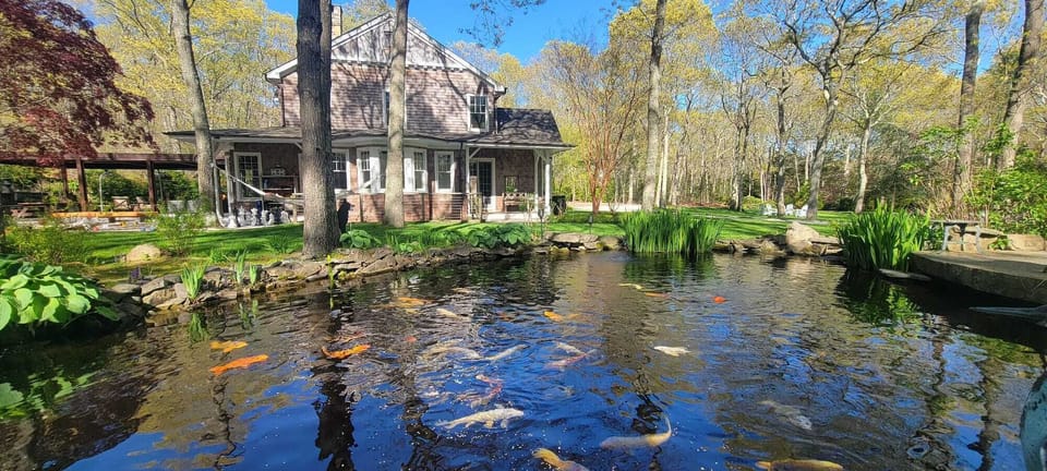 Koi Pond