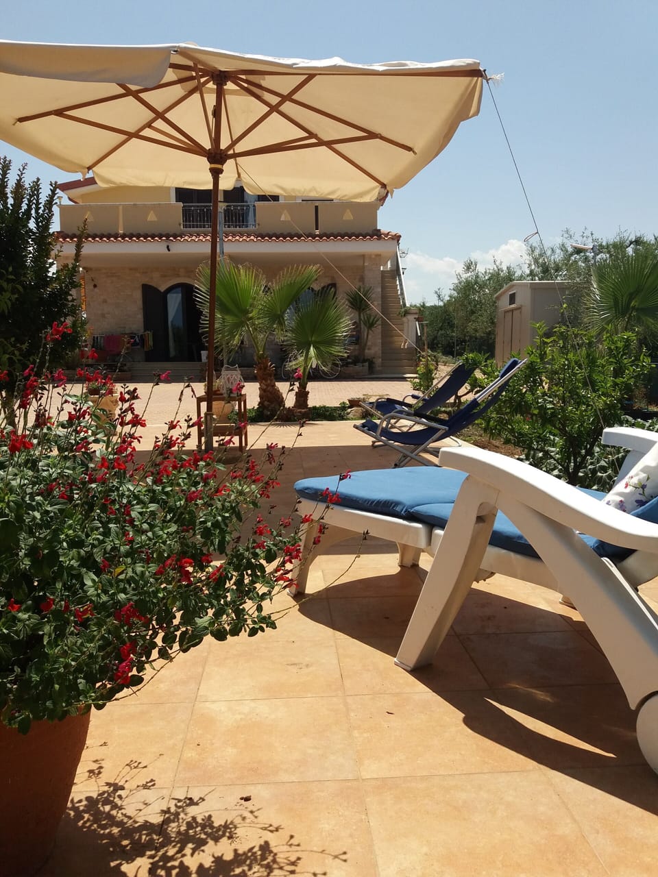 Terrace/patio