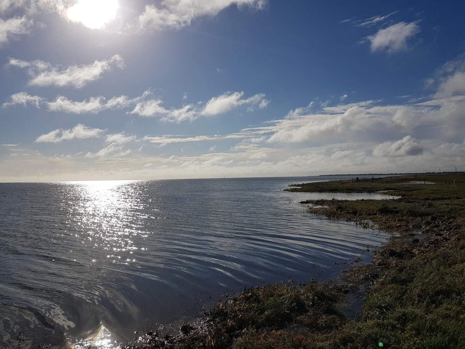 Water view