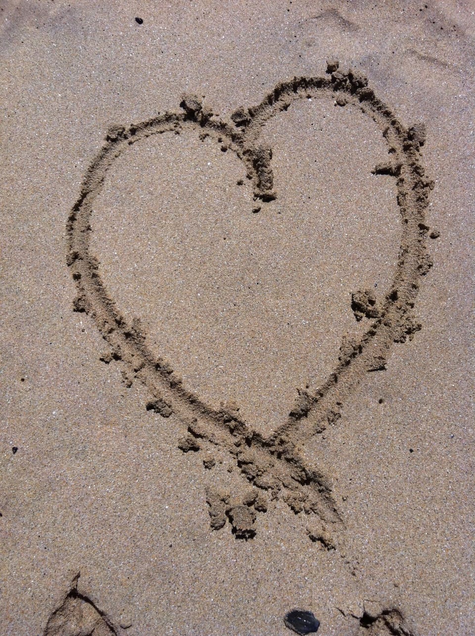 You will love it!