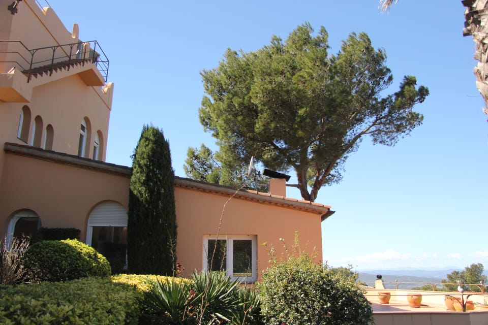 Main home view.