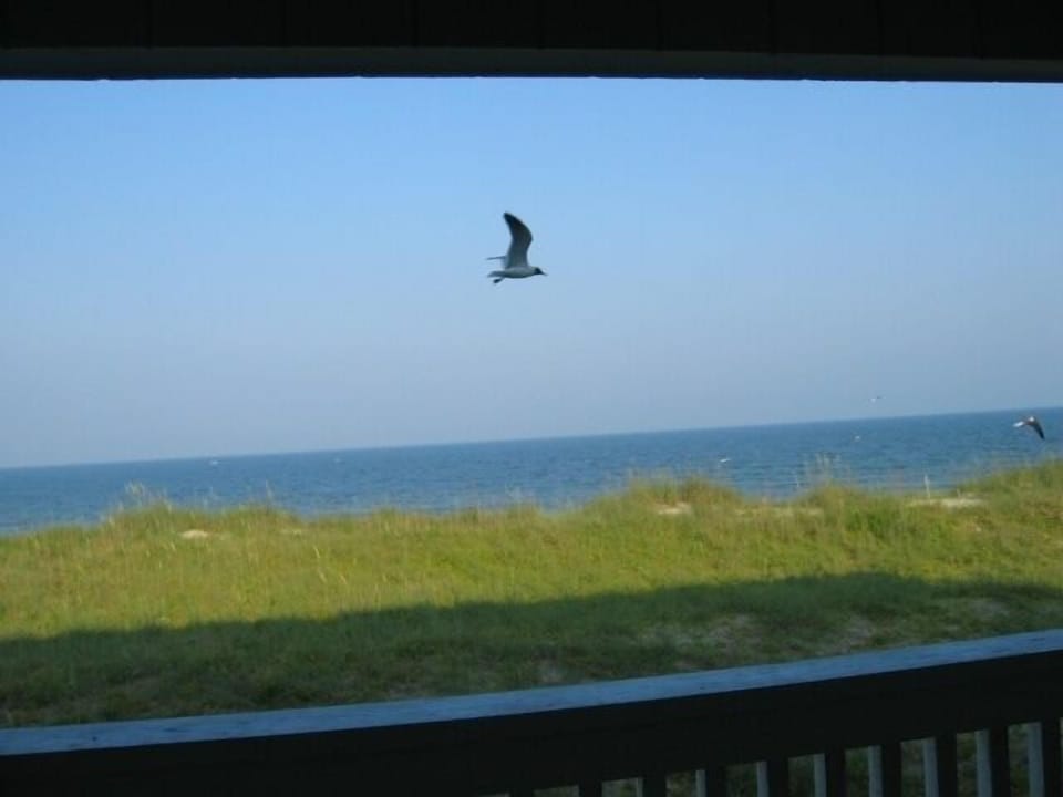 View from Balcony