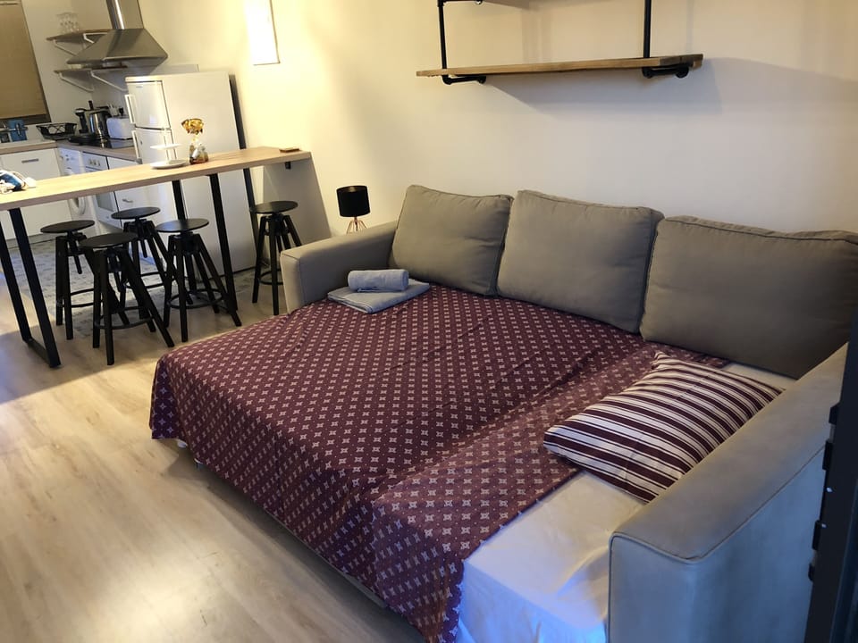 Sofa bed in the living room