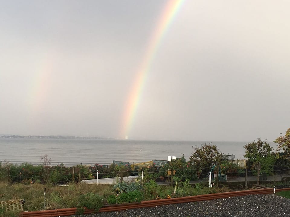 Sometimes we get lucky and find the pot of gold