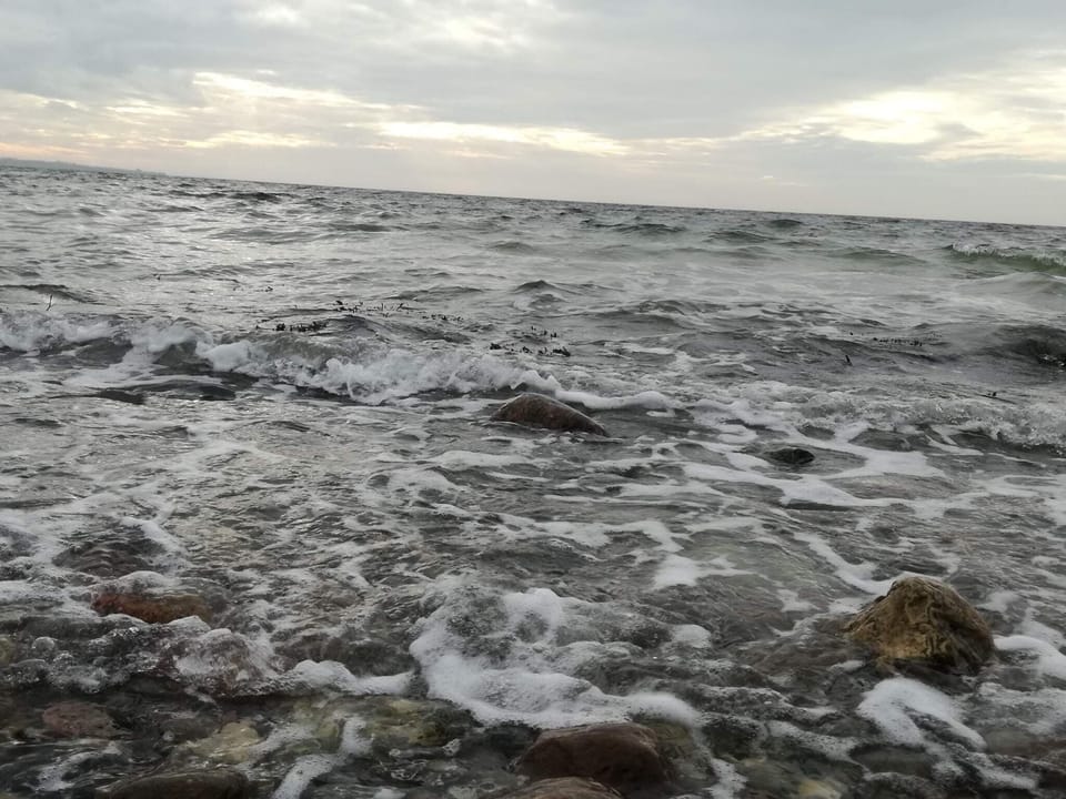 Water view