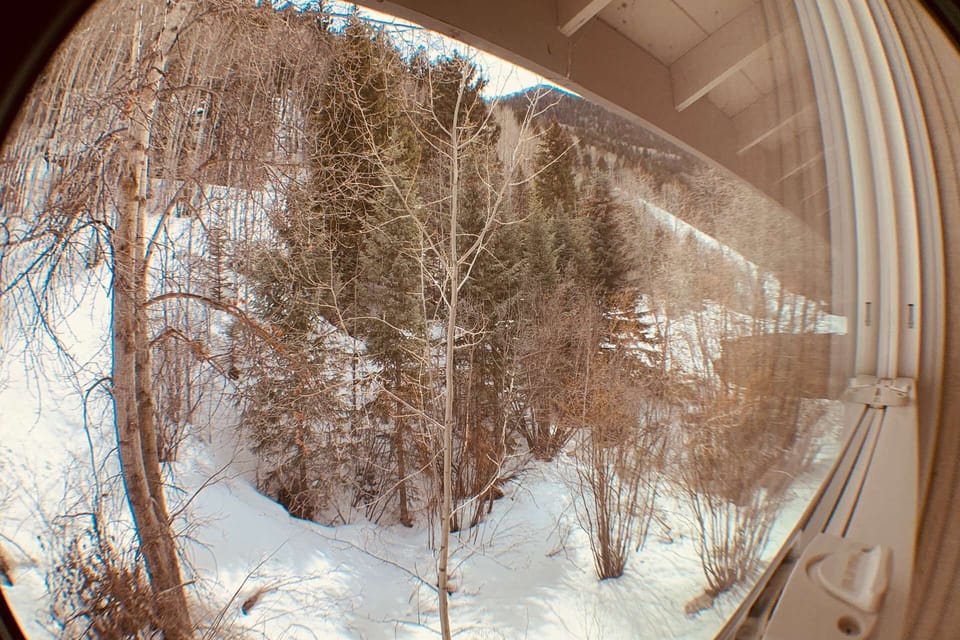 Room with a view!