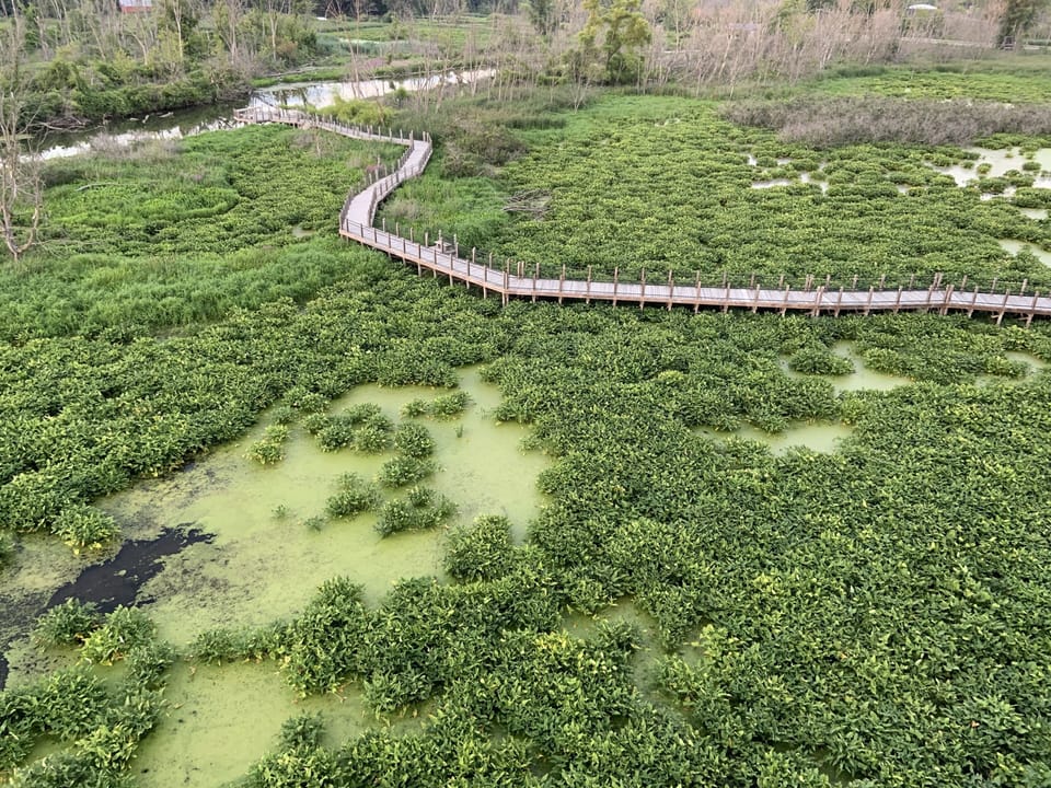 Trails nearby, here Galien River County Park