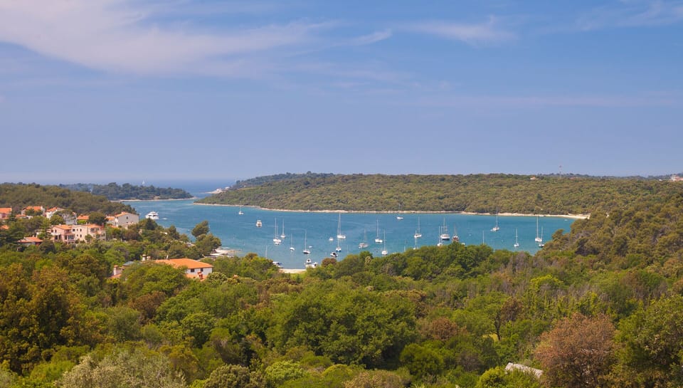 Newly renovated spacious villa Nicole, amazing seaview,40 m2 pool,sauna,billiard Villa in Banjole