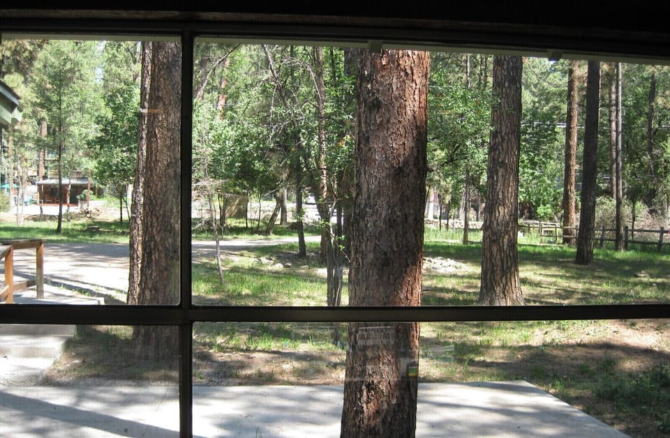 View from living room - front