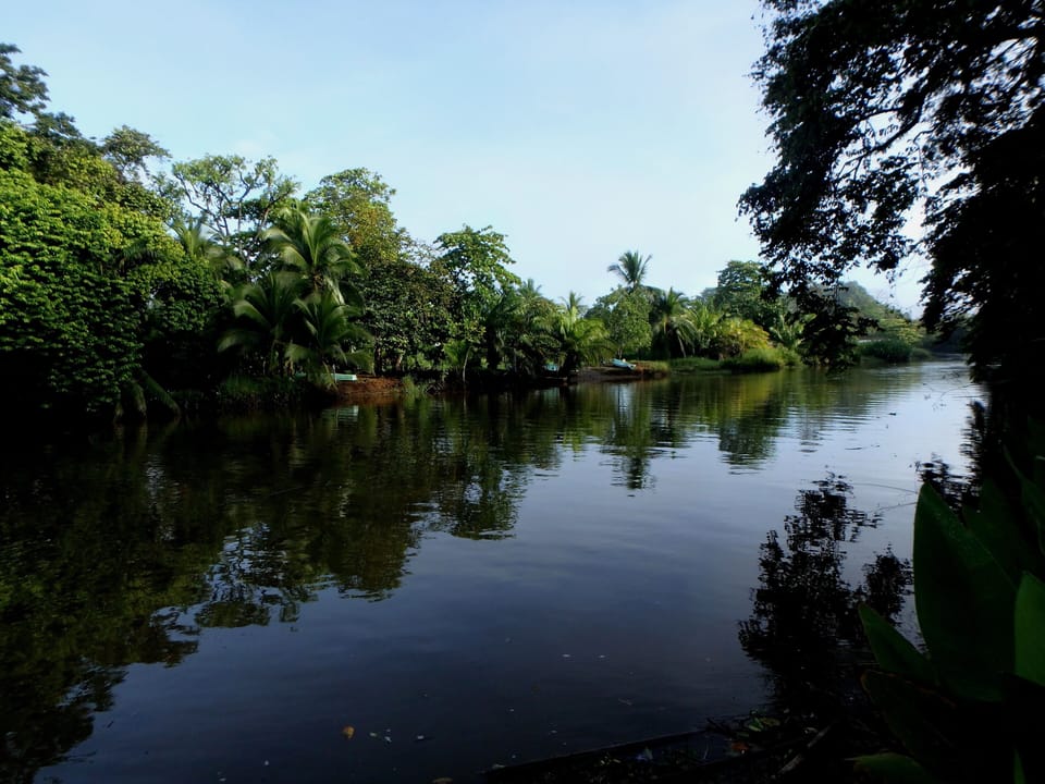 The river.... Taken from private dock