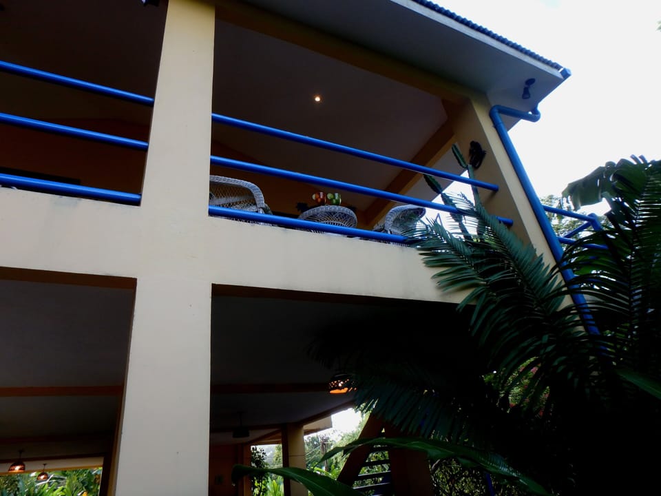 Balcony overlooking the birds and monkeys