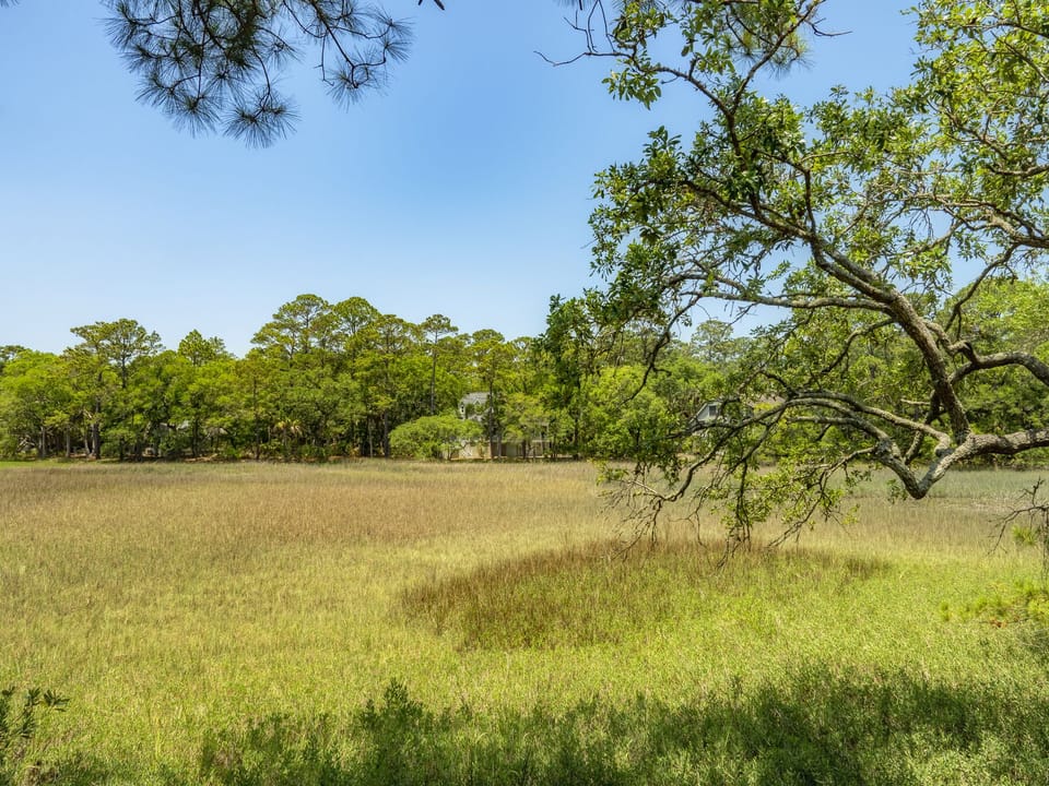 Marsh Views from the villa