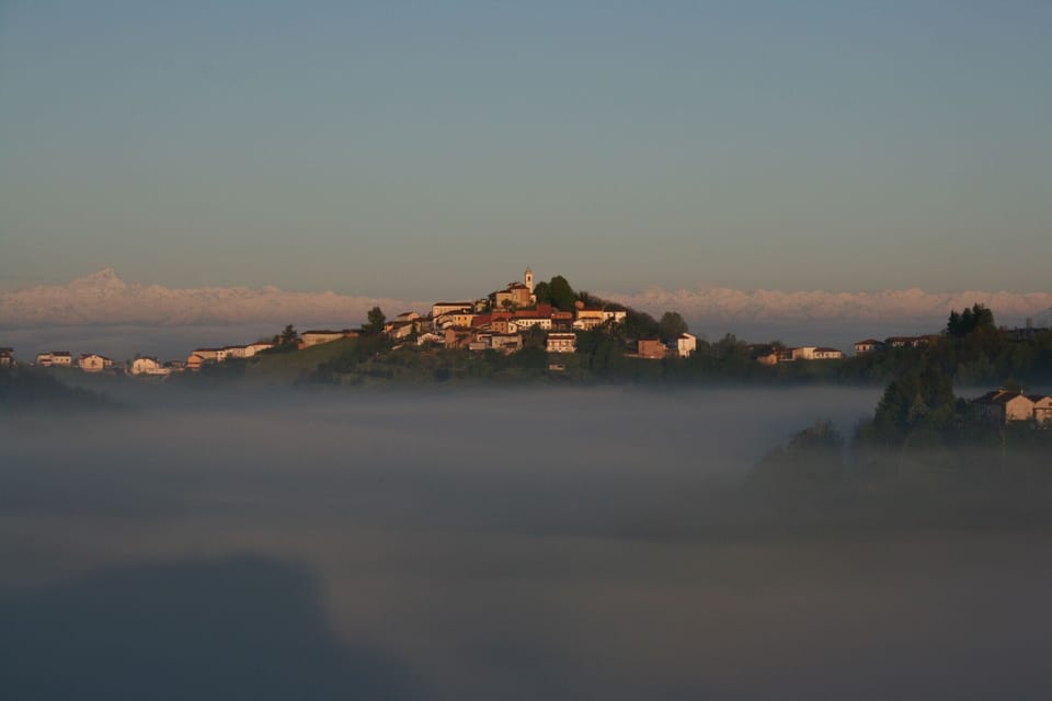 The romantic view from the house's windows with the morning mist