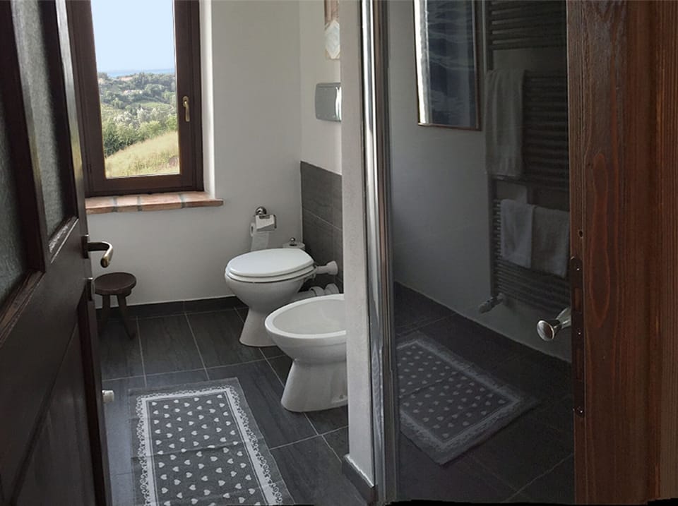 The bathroom with the shower box