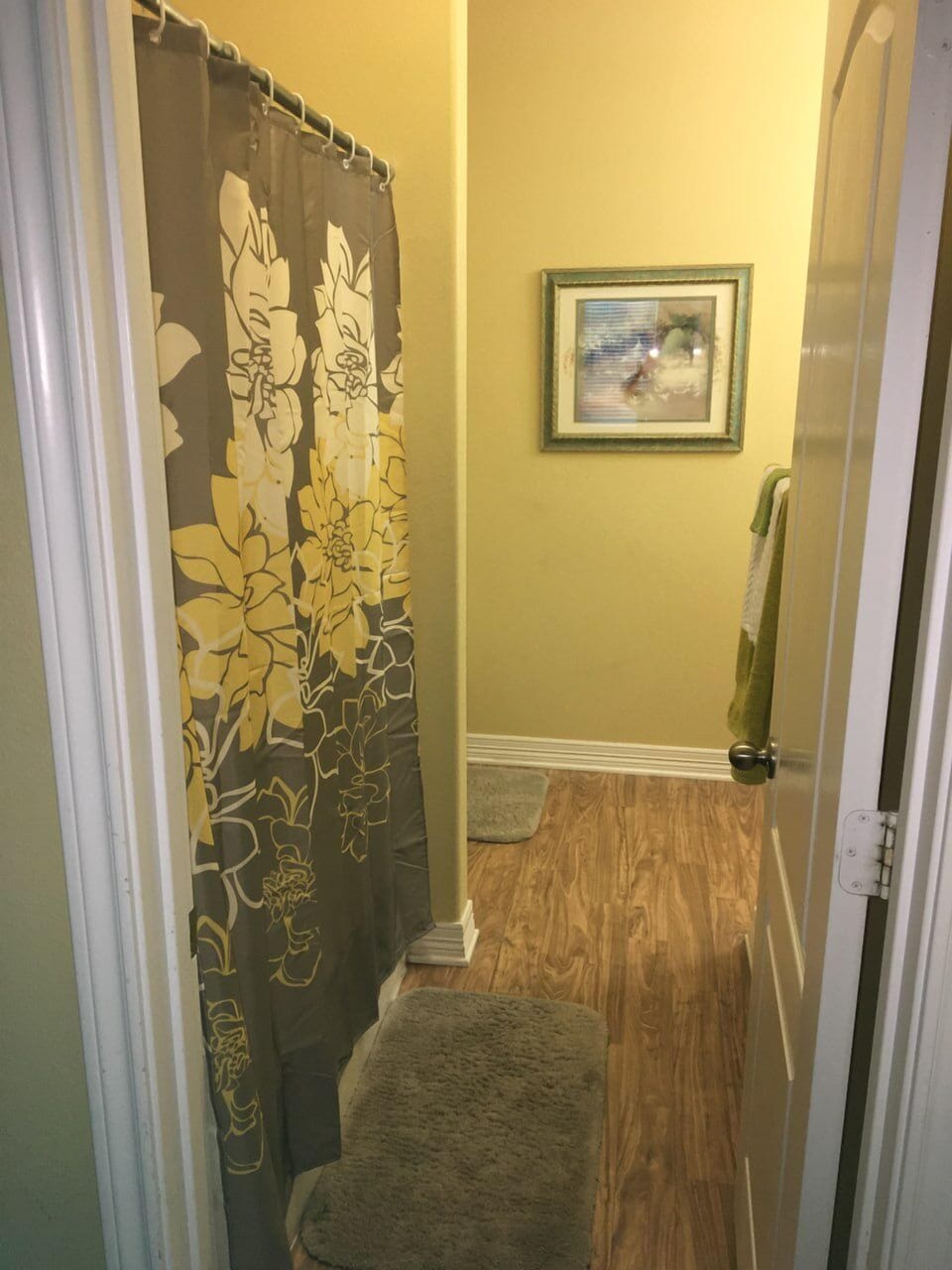 master bathroom, full shower/tub