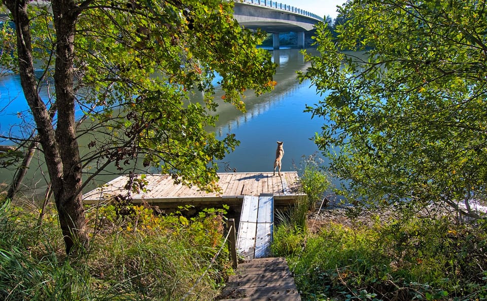 Grab your fishing pole and hang out on the dock