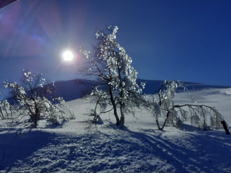 Snow and ski sports