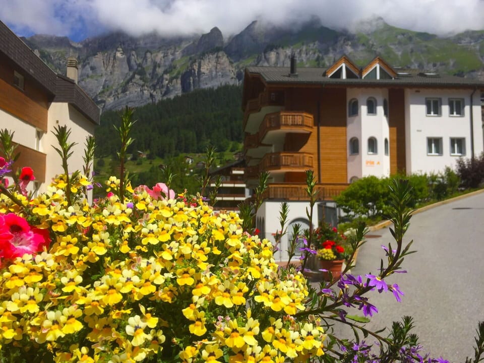 Flower, Yellow, Mountain Village, Plant, Spring, House, Alps, Wildflower, Mountain Range, Building
