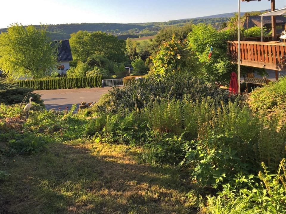 View from Holiday Home [summer]