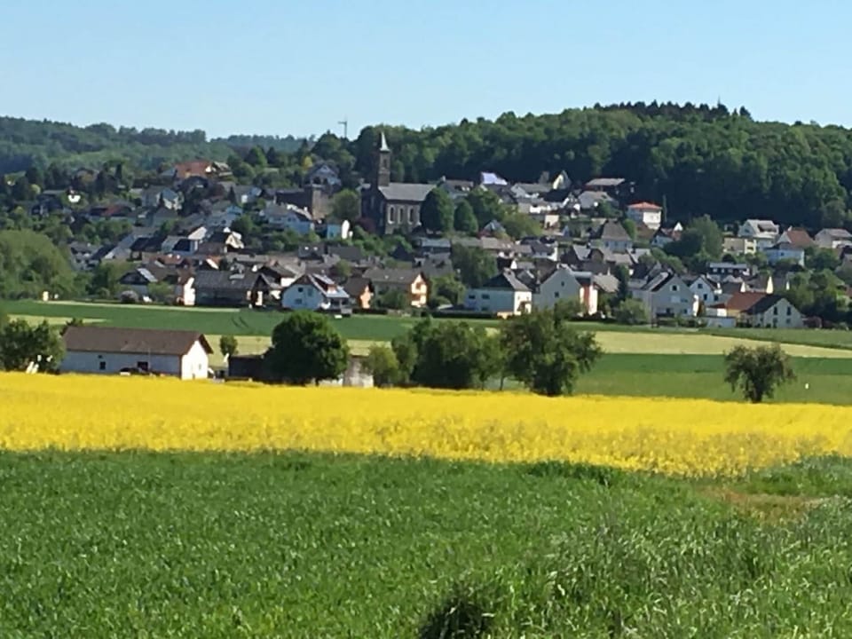 Immediate Surroundings [summer] (<1 km)