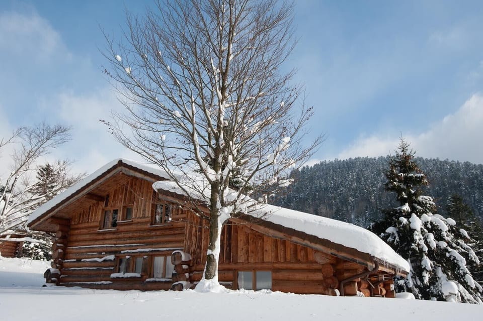 Location chalet en rondin grande capacité hiver neige La Bresse Vosges
