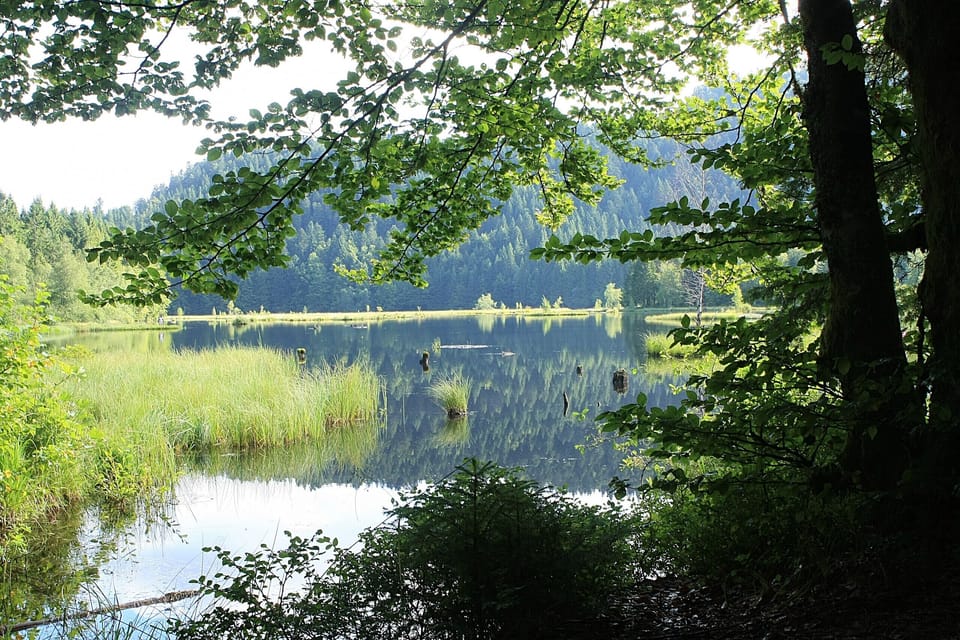 Nombreux lacs de montagne à La Bresse Vosges