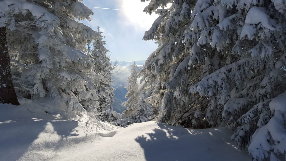 Montagne sapin neige location appartements premium chalet La Bresse
