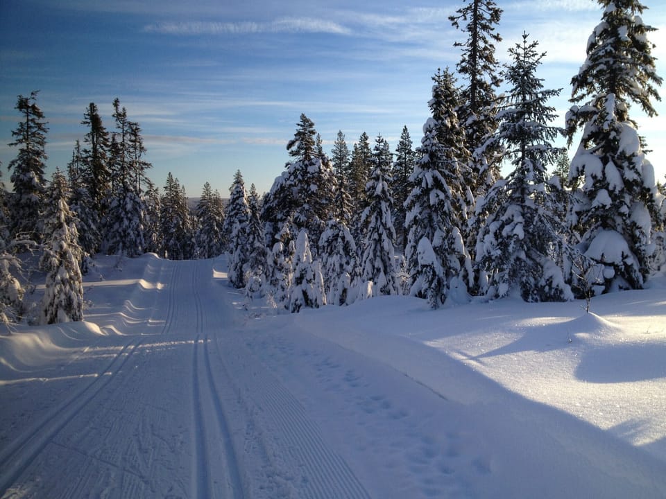 Baignade lacs Vosges