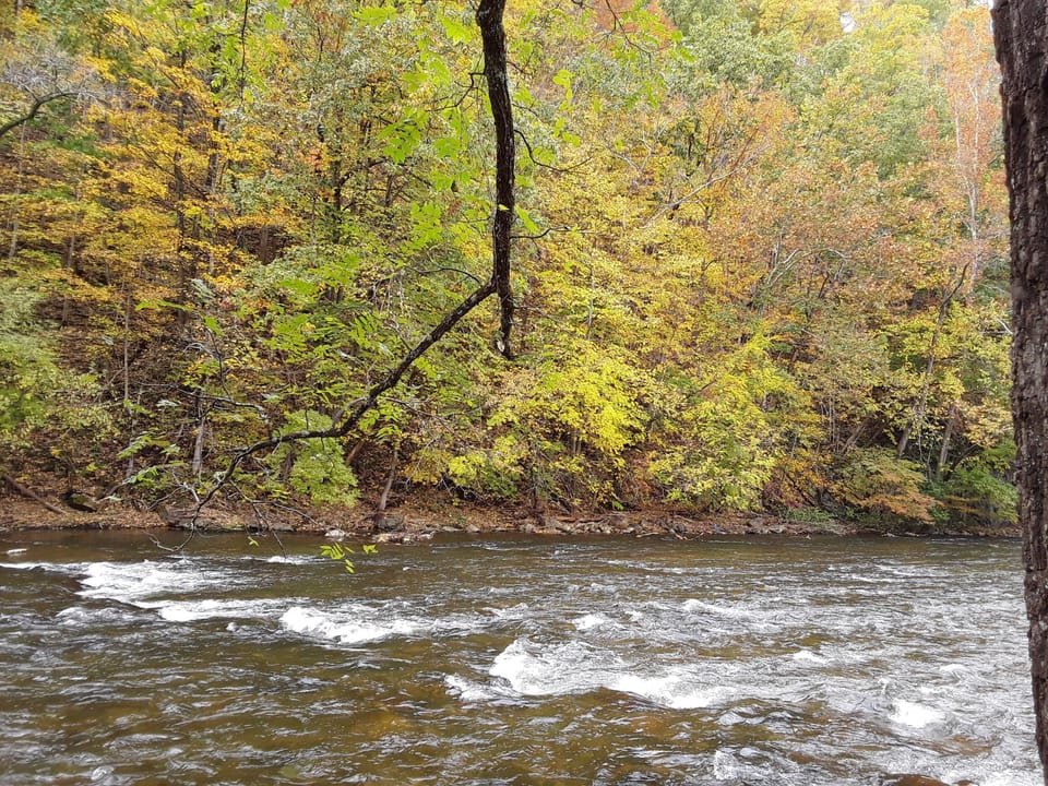 The fall colors are here !