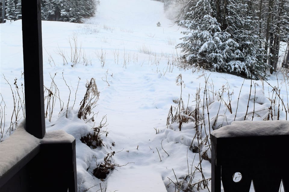 View from property