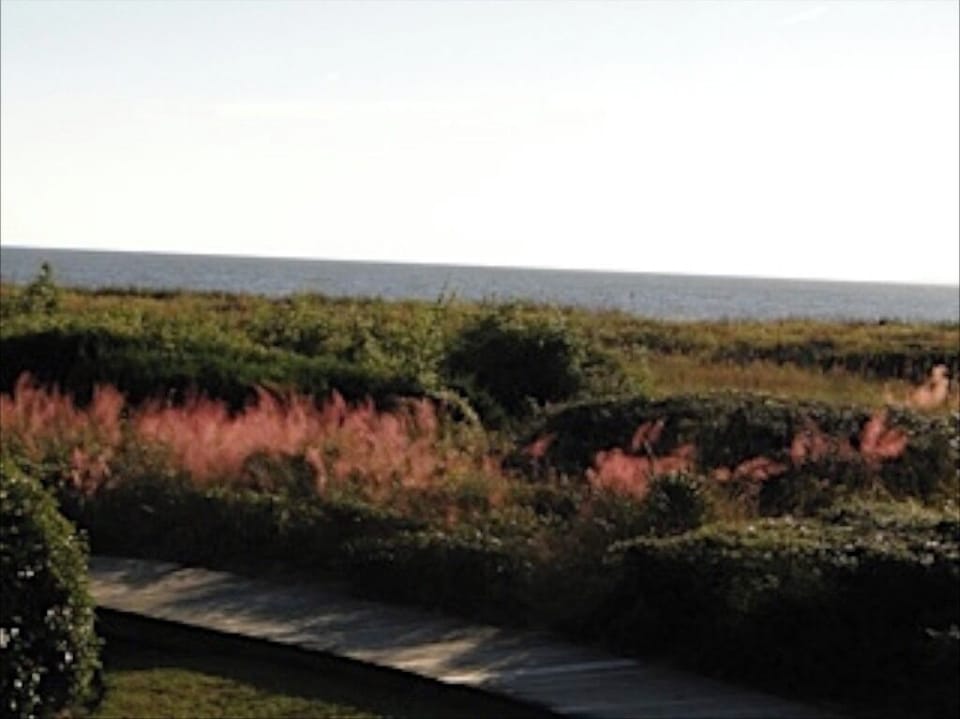 While the sun casts gorgeous shadows on the dunes.