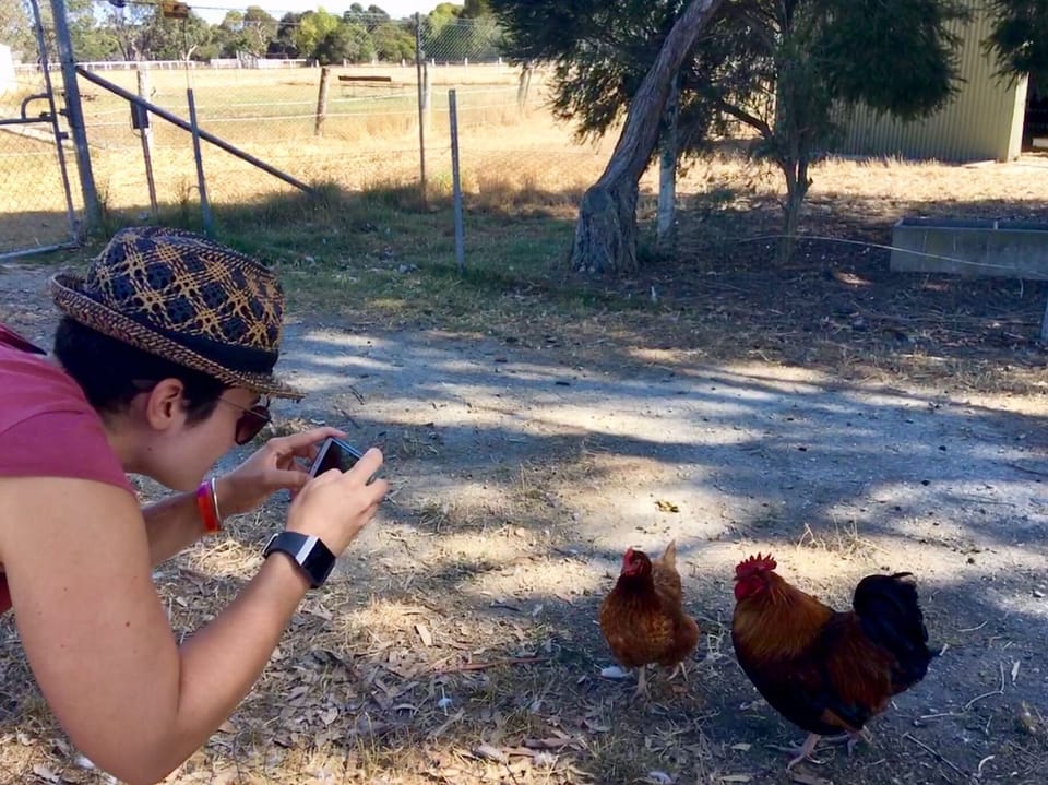 With plenty of photo opportunities