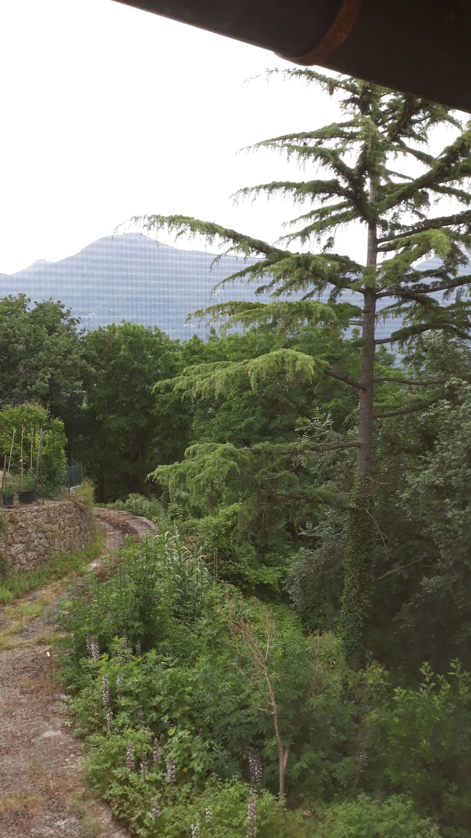 View from property