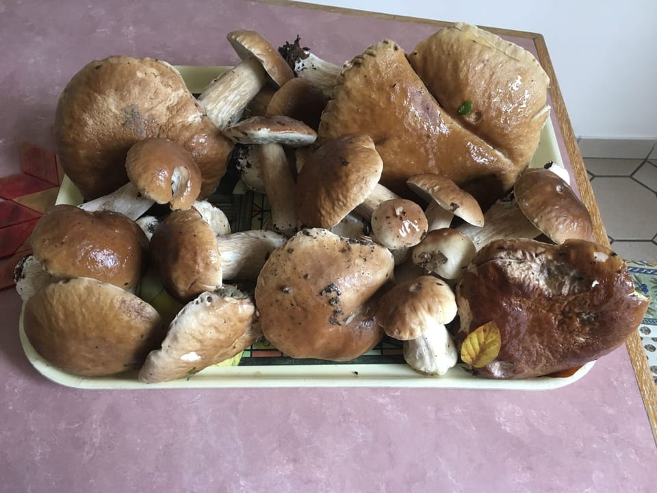Food and drink